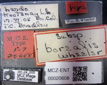 Media type: image; Entomology 20608   Aspect: labels